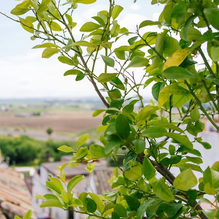 Al-Mudawar Casa Rural Almodóvar del Río Exteriör bild